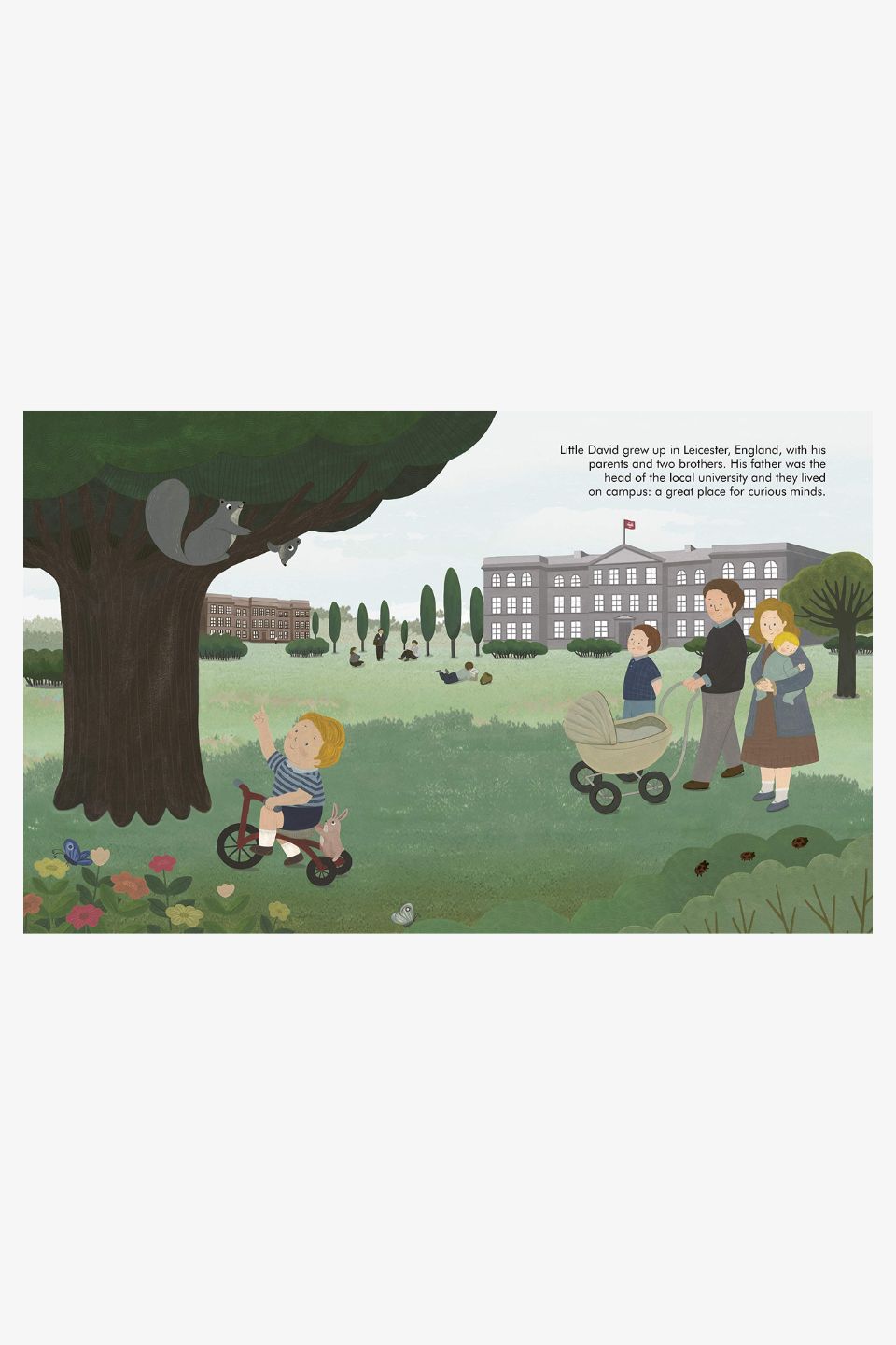 David Attenborough Little People Big Dreams Inspirational Biography Book for Kids - Perfect for Bedtime Stories & Classroom Learning