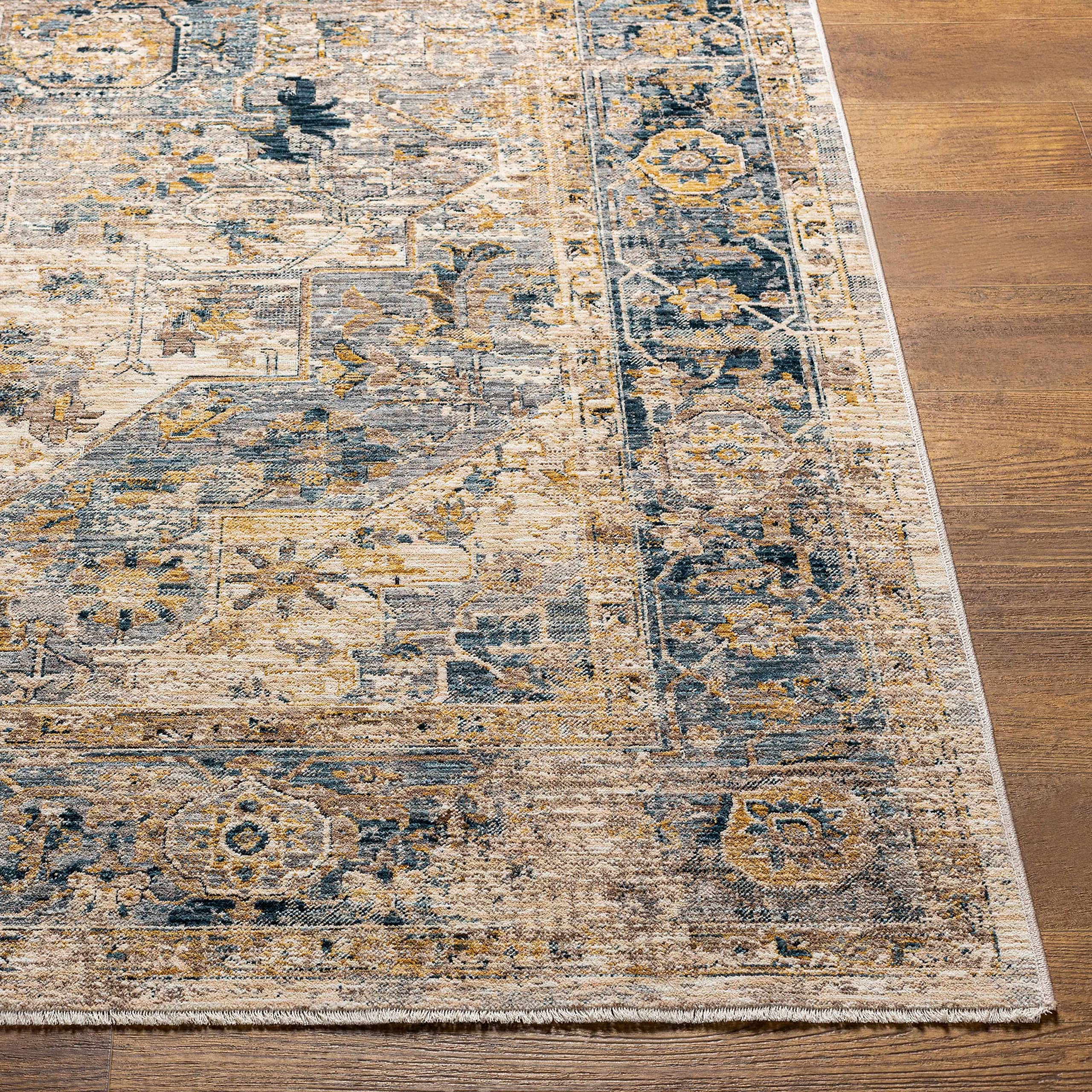 Hauteloom Chuka Traditional Beige and Blue Area Rug 5' x 7'5