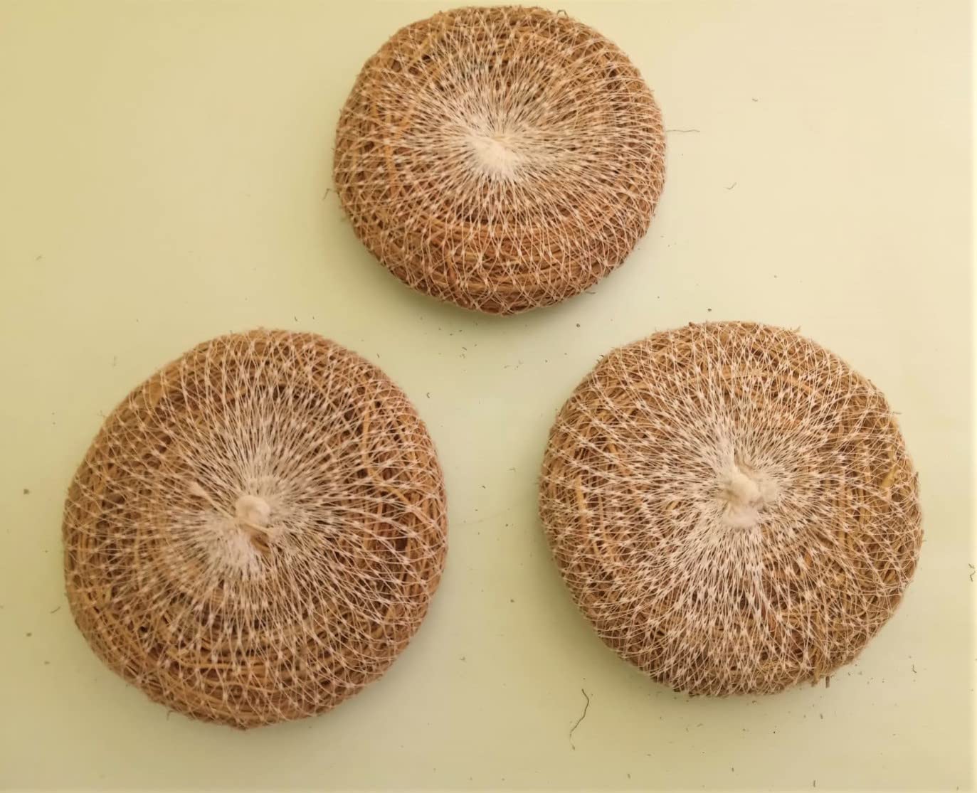 Organic Vetiver Root Body Scrubber for Stress Relief & Cooling - Pack of 3 | Natural Bathing Exfoliator with Ramacham Fragrance | Perfect for Spa Day, Ayurvedic Self-Care & Summer Refreshment