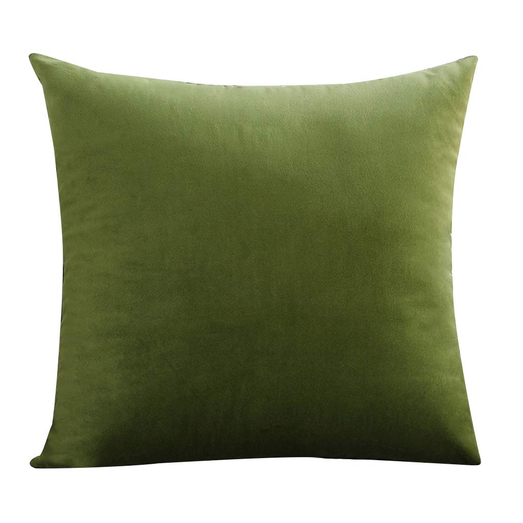 Luxury Velvet Throw Pillow Cover - Solid Color Soft Cushion Case for Sofa, Couch & Bed (Pack of 1) - Premium Decorative Pillow Sham Without Insert - Perfect for Living Room, Bedroom & Home Decor