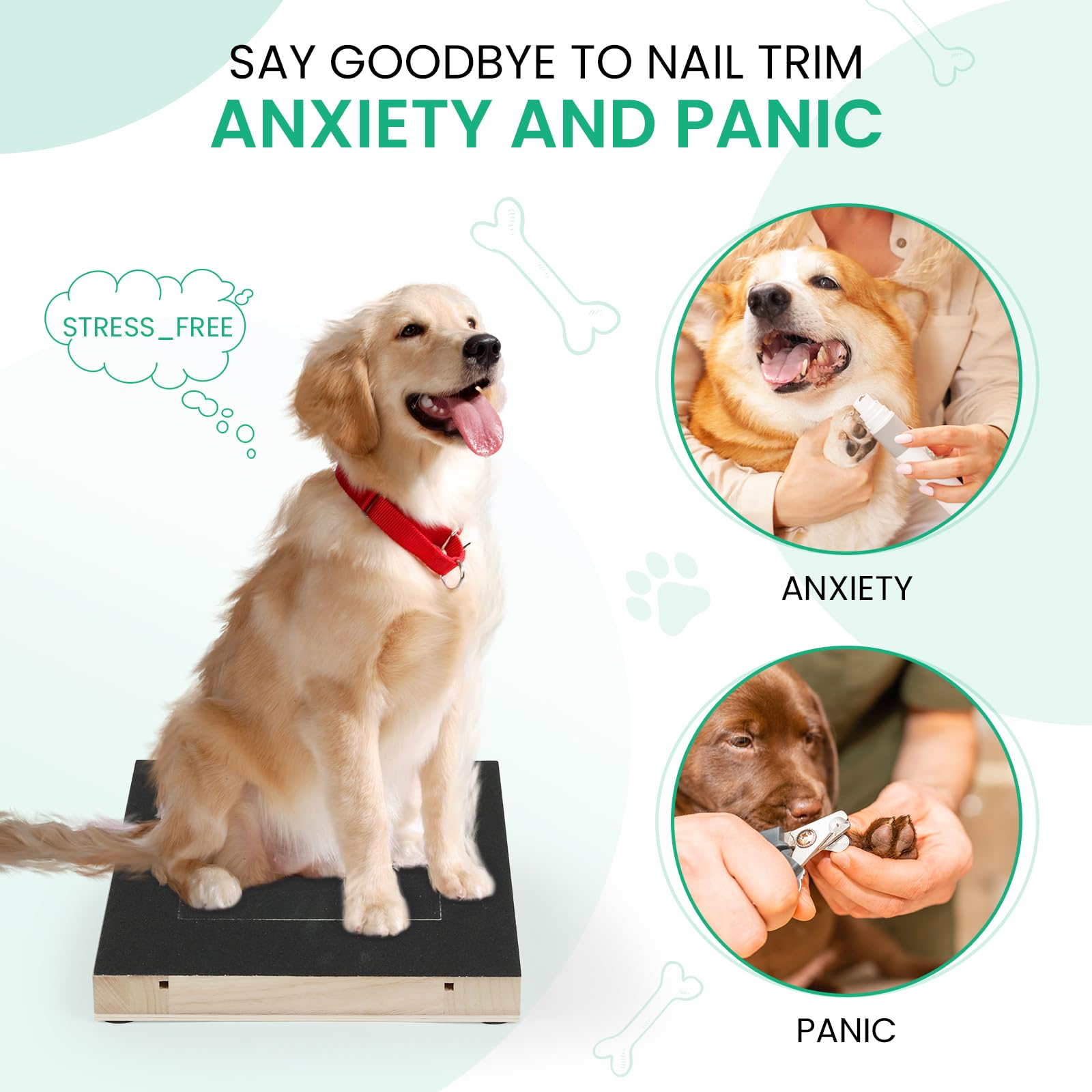 Dog Nail Scratch Board & Grinder with Treat Box - Pet Nail Trimming File for Small Medium Large Dogs - Perfect for Home Grooming & Stress-Free Nail Care