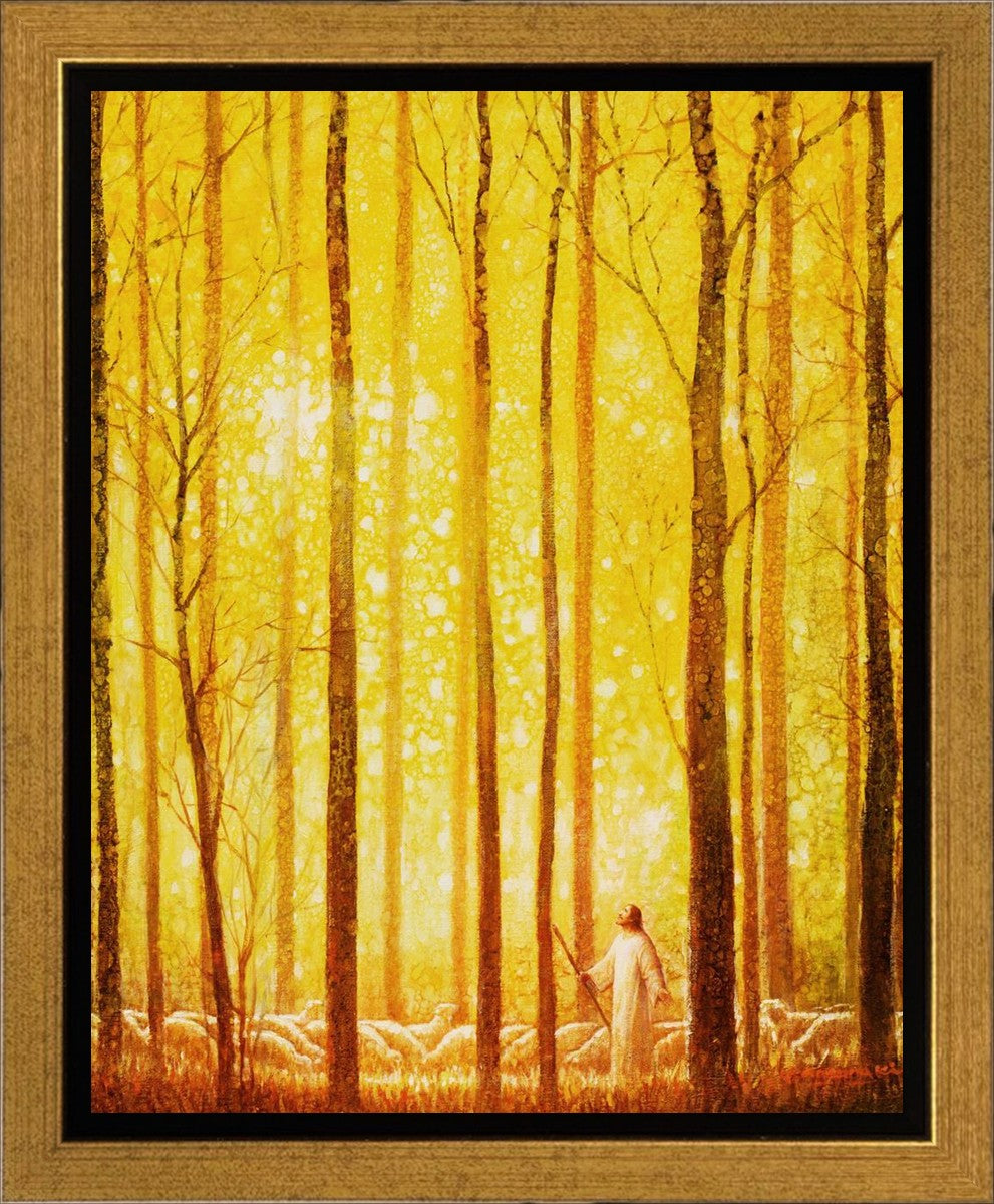Premium Wonder Gallery Wrap Canvas - High-Quality Stretched Canvas for Wall Art, Home Decor & Office Display
