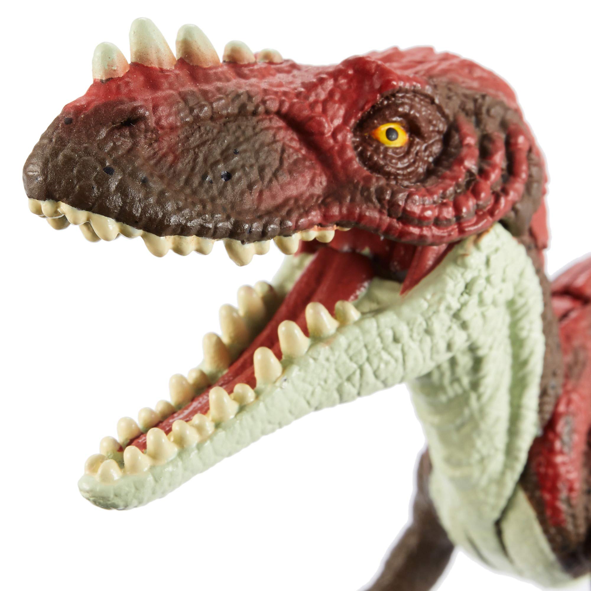 Jurassic World Attack Pack Alioramus Dinosaur Toy - Realistic Dinosaur Figure for Kids, Collectors & Jurassic Park Fans | Great for Play, Display & Dinosaur Themed Parties