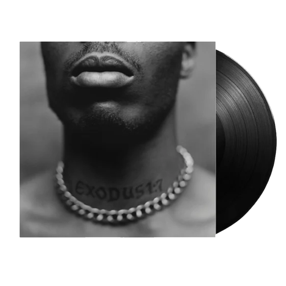 DMX Exodus LP Vinyl Record - Classic Hip Hop Album for Collectors & Music Lovers | Perfect for Home Listening, Gifts & Vinyl Collections