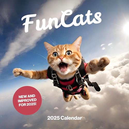 Fun Cats 2025 Calendar