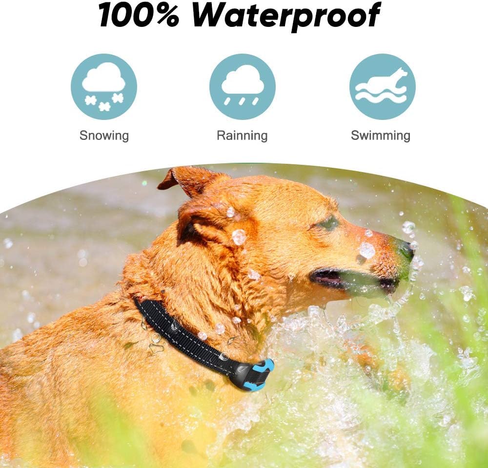 PcEoTllar Rechargeable Electric Dog Fence System - 656ft Wireless & Underground Boundary with Waterproof Collar Receiver | Safe Pet Containment for Backyard, Garden & Large Properties