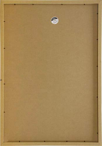 Frame USA Corporate Series 20x30 Wood Picture Frames for Art & Photos - Premium Canadian Walnut, Handcrafted in USA - Perfect for Home Decor, Office Display & Gallery Exhibitions