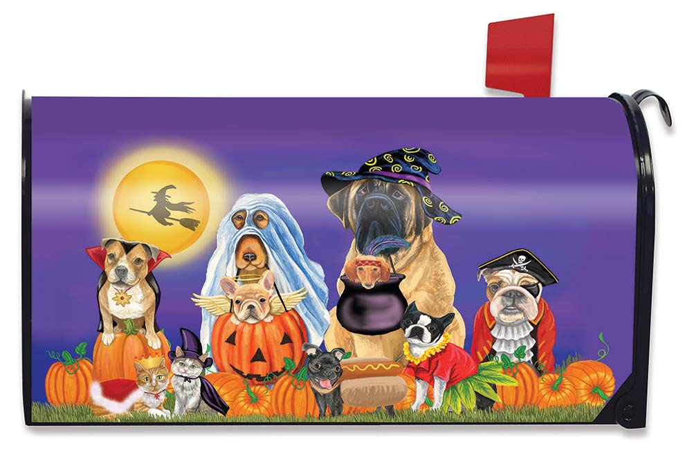 Briarwood Lane Halloween Magnetic Mailbox Cover - Trick or Treat Dogs & Cat Jack O'Lantern Design for Standard Mailboxes | Outdoor Fall Decor, Spooky Housewarming Gift, Front Porch Decoration