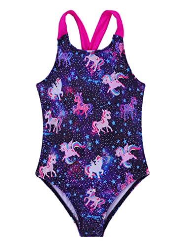 Pegasus Starry Sky B