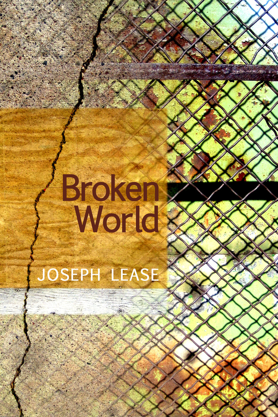 Broken World - Post-Apocalyptic Survival Novel | Dystopian Fiction Book for Adults | Perfect for Book Clubs & Sci-Fi Fans