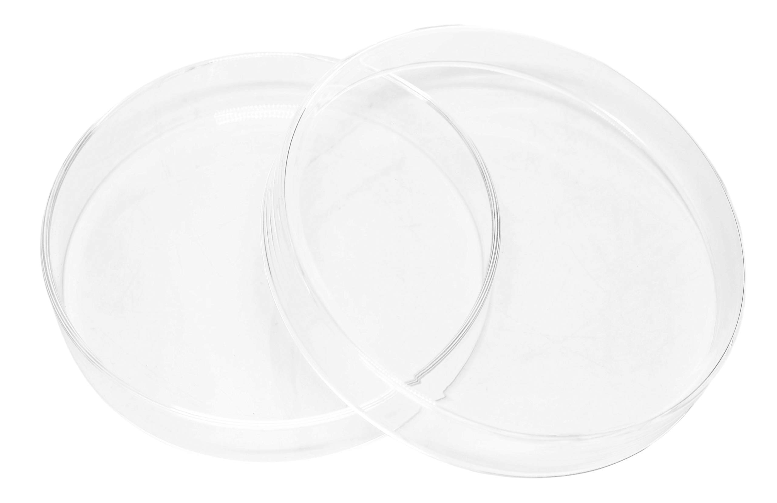 EISCO 90 x 15mm Soda Glass Petri Dish - Lab-Grade for Bacteria Culture, Science Experiments & Classroom Use