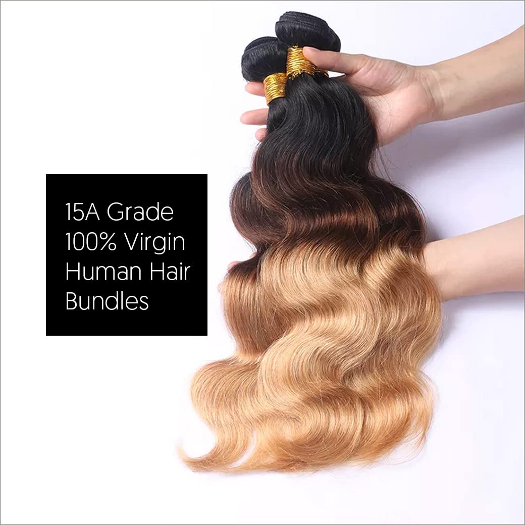 15A Brazilian Human Hair Bundles 100% Unprocessed Virgin Remy Hair - Body Wave 3 Bundles (T1B/4/27, 20