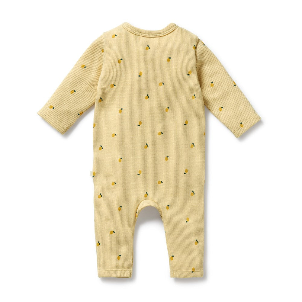 Organic Baby Waffle Ruffle Zipsuit - Little Lemon Soft Cotton One-Piece Romper for Newborns & Infants | Perfect for Playtime, Photo Shoots & Everyday Comfort