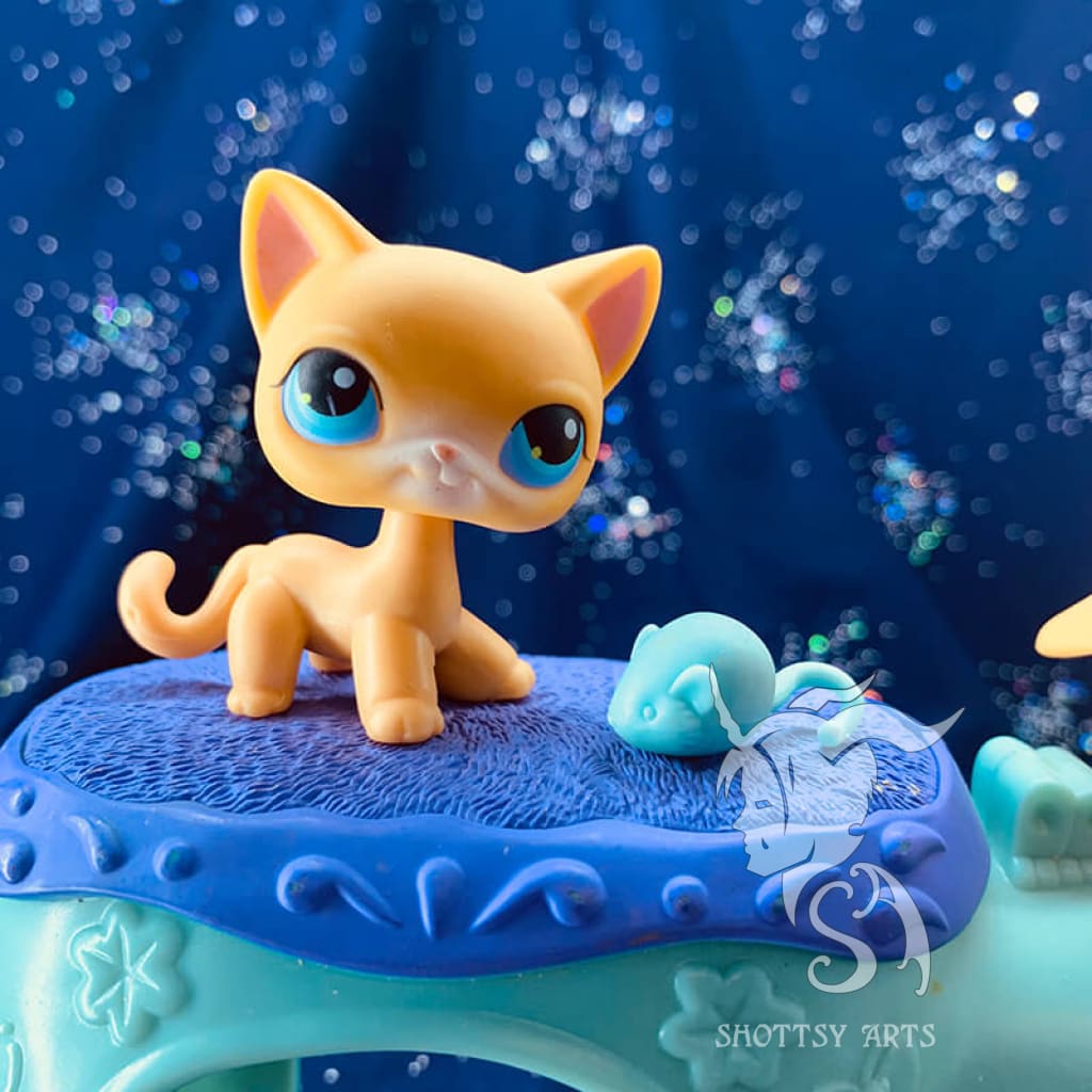 Curious Kitties Interactive Cat Toy Playset - Fun & Engaging Playtime for Indoor Cats - Perfect for Kittens & Adult Cats to Stimulate Hunting Instincts