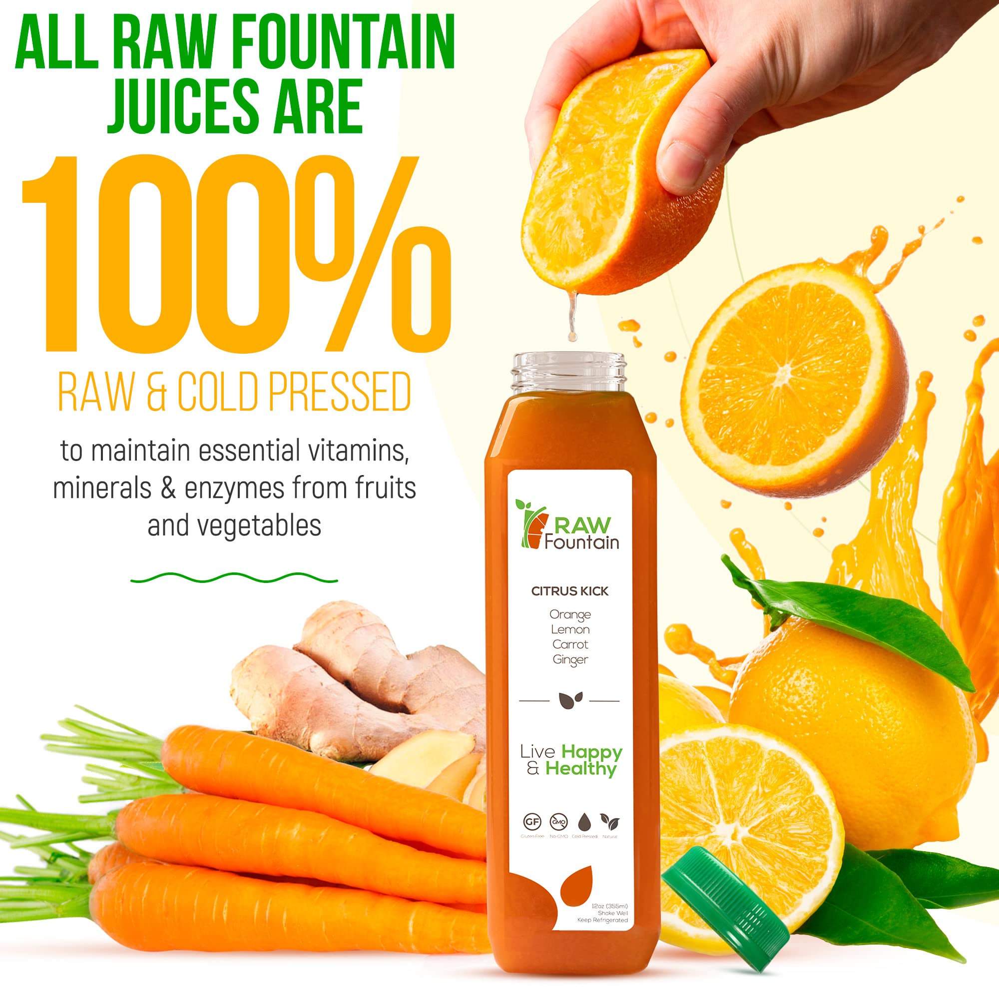 Raw Fountain 3-Day Juice Cleanse | All Natural Cold Pressed Detox Juice Fast | 18 Bottles (12oz) + 3 Ginger Shots | Body Reset & Weight Loss | Perfect for Post-Holiday Detox, Fitness Prep & Healthy Lifestyle Jumpstart