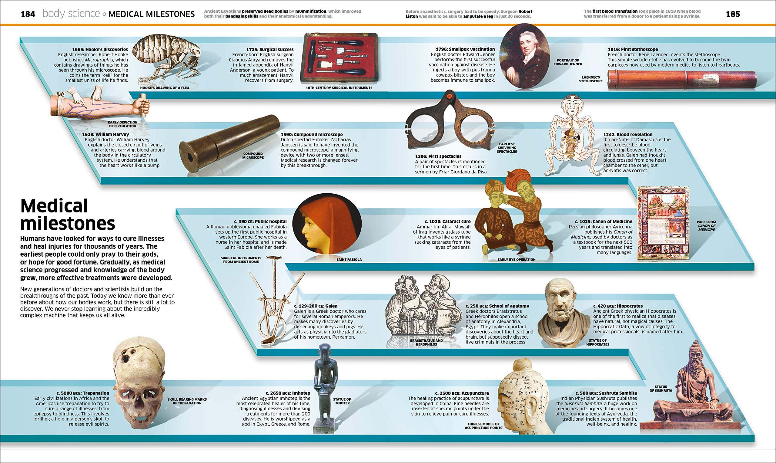 Knowledge Encyclopedia Human Body! - Illustrated Science Book for Kids & Teens | Perfect for Homeschooling & Classroom Learning