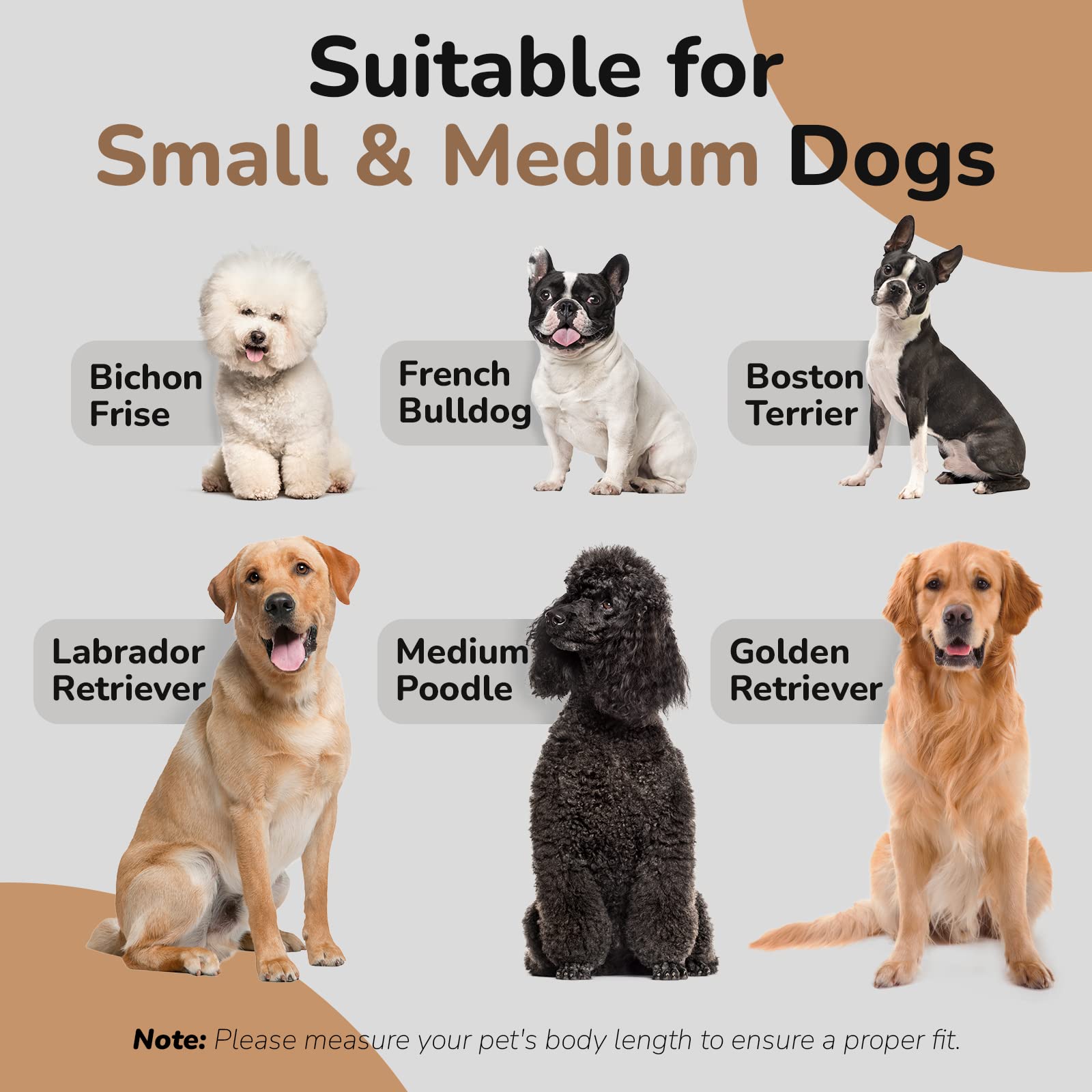 Premium Dog Sofa Bed for Medium Dogs Up to 70 Lbs - 33 Inch Orthopedic Pet Couch with Soft Velvet Fabric for Comfortable Sleep & Joint Support (Dark Grey) - Perfect for Living Room, Bedroom & Pet-Friendly Spaces