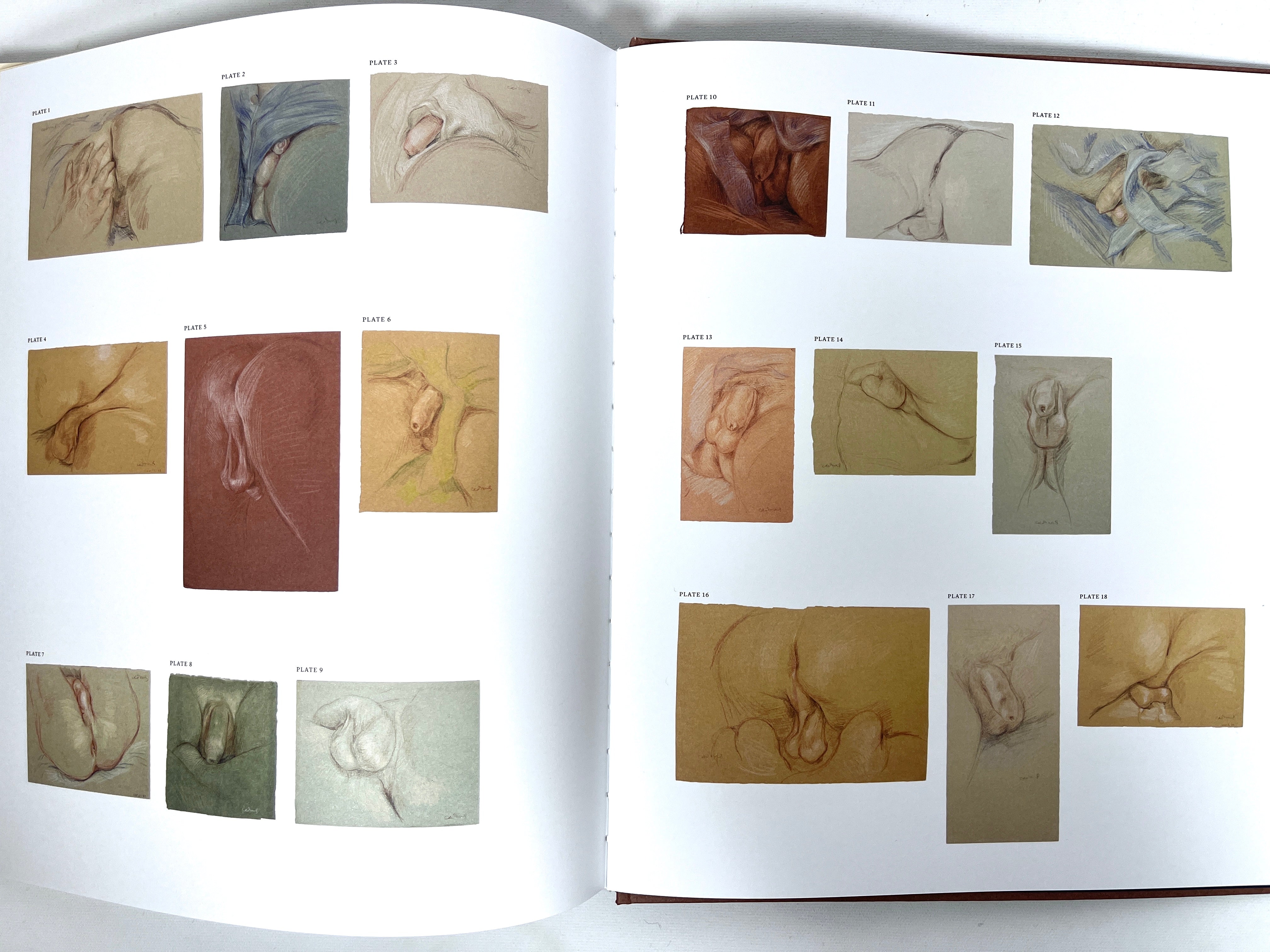 Paul Cadmus: 49 Drawings - Phaidon 2024 Hardcover Art Book Portfolio | Near Fine Condition | Perfect for Art Collectors, Museum Gift Shops & Drawing Enthusiasts