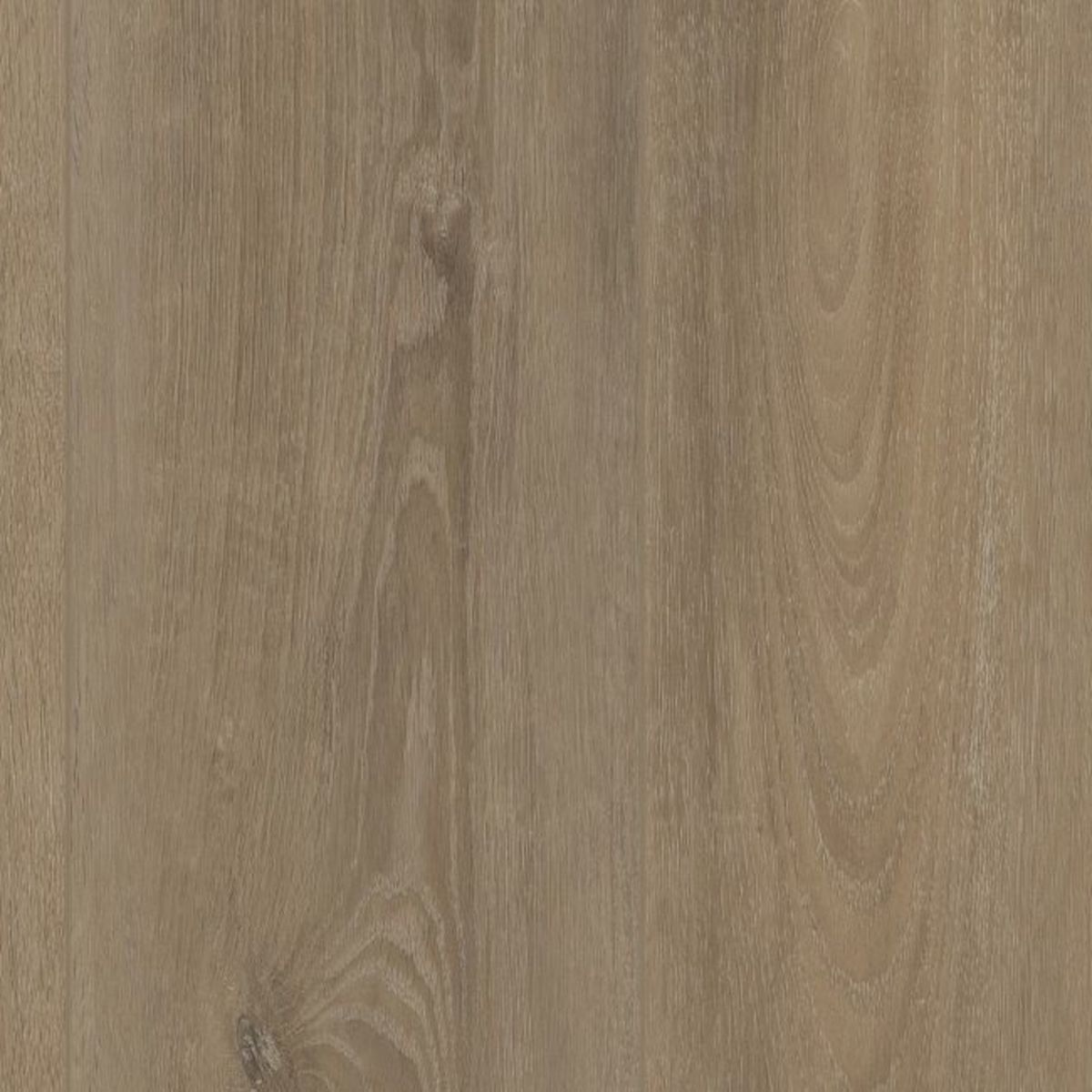 Coretec Plus Grande Ellidy Oak 9