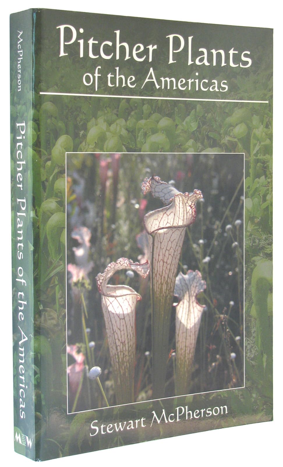 Carnivorous Pitcher Plants of the Americas - Unique Insect-Eating Houseplants for Home & Garden Decor