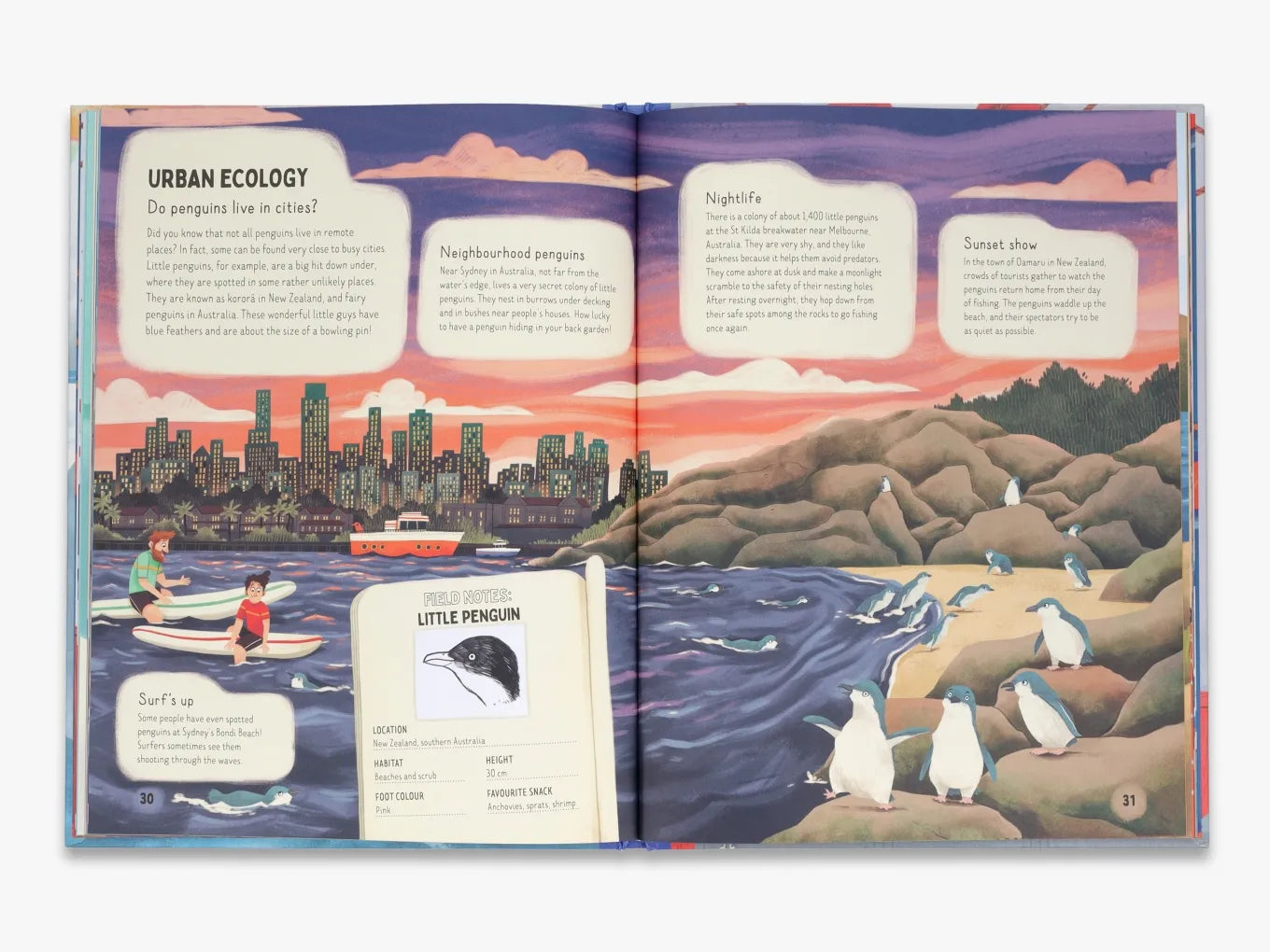 Do Penguins Like the Cold? Fun Animal Facts for Kids - Perfect for Classroom Learning & Wildlife Education