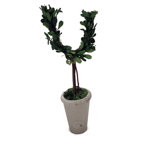 Forest Green - U