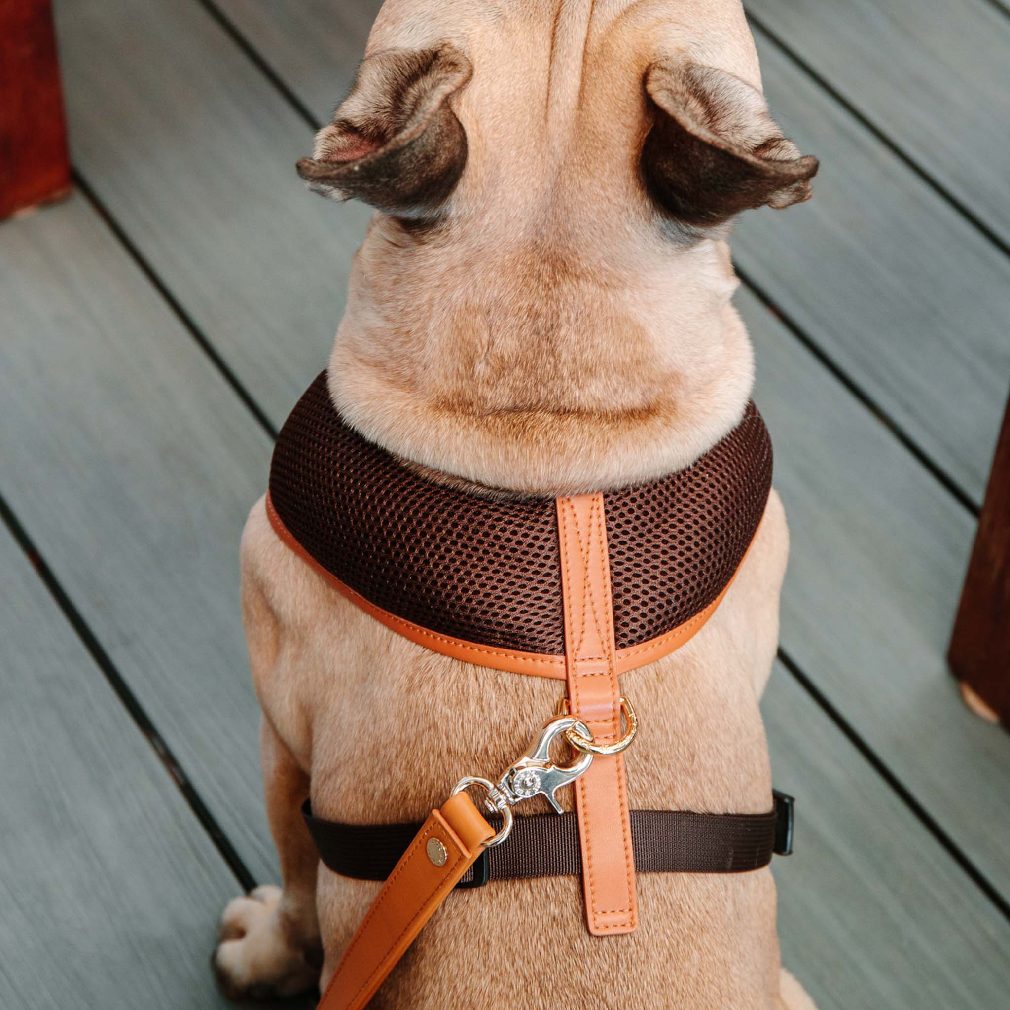 Premium Dark Brown Dog Harness with Tan Trim - Adjustable No-Pull Pet Vest for Small Medium Large Dogs - Perfect for Walking, Hiking & Outdoor Adventures