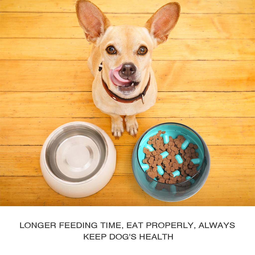 Non-Slip Round Bottom Slow Feeder Dog Bowl - Interactive Fun Maze Design for Small & Medium Dogs - Perfect for Mealtime Enrichment & Preventing Bloat (Blue)