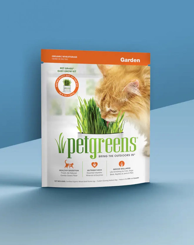 Organic Pet Grass Self Grow Kit for Cats & Dogs - Indoor Cat Grass Planter with Seeds, Soil & Tray - Perfect for Healthy Digestion, Fresh Breath & Playtime Fun