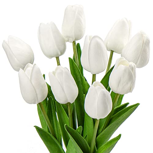 White #10