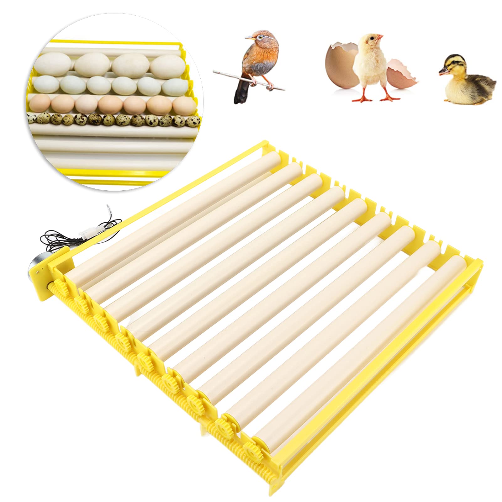 12V Automatic Egg Incubator with Large Turning Tray - High Capacity Poultry Egg Turner for Hatching Chicken, Duck, Quail & Bird Eggs | Perfect for Home Farms, Hatcheries & Poultry Breeding