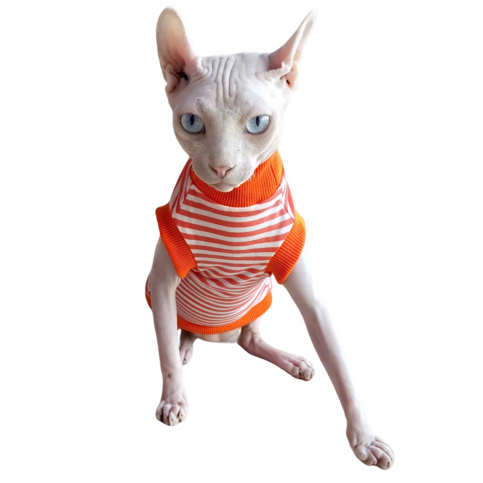 Sphynx Hairless Cat Summer Cotton T-Shirt - Breathable Sleeveless Pet Vest with Round Collar - Comfortable Kitten & Small Dog Apparel (X-Large, Orange Stripes) - Perfect for Summer Outings & Indoor Playtime
