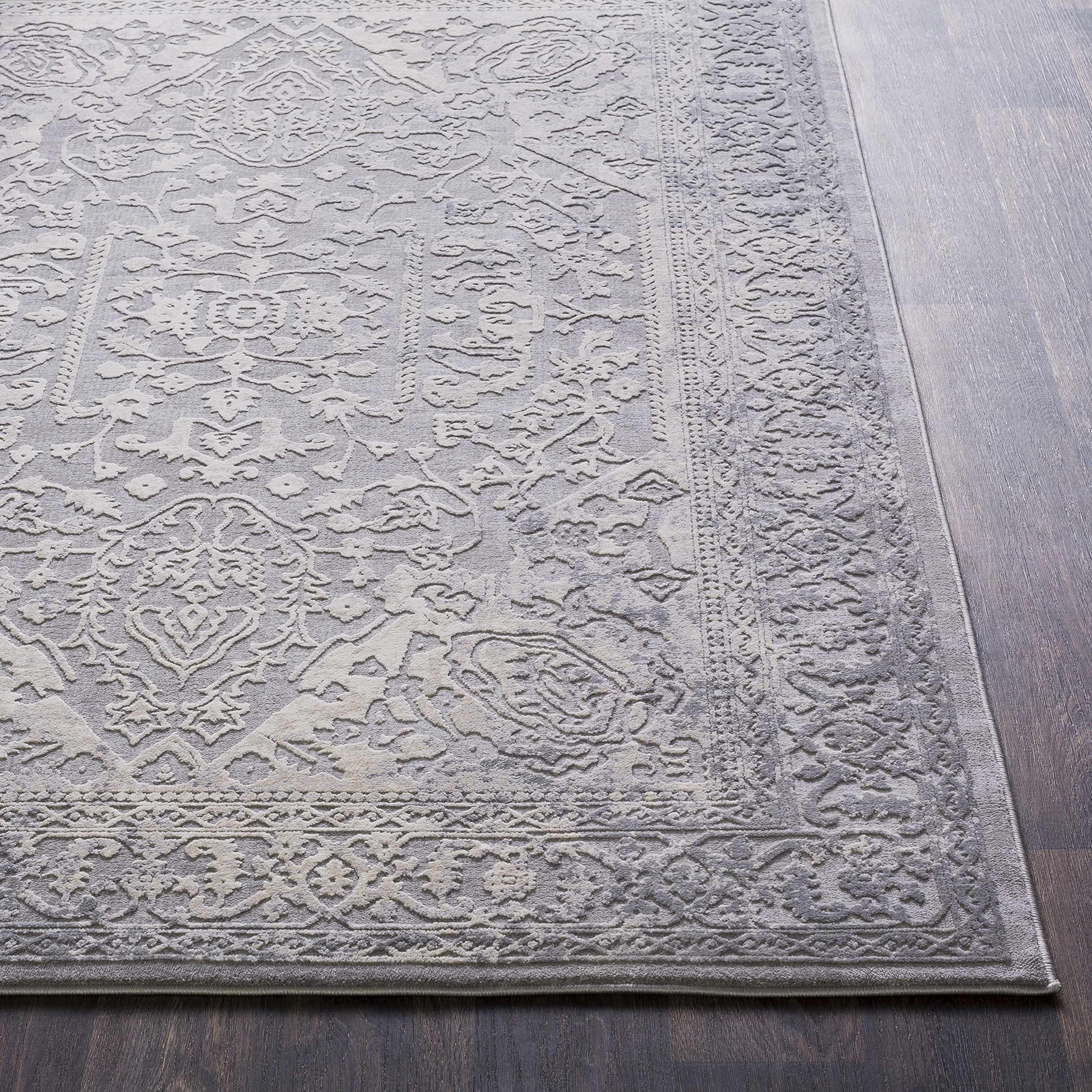 Hauteloom Watford Traditional Area Rug 2' x 2'11