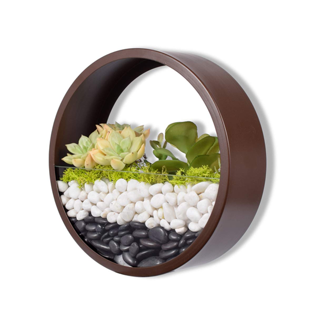 Ecosides 8