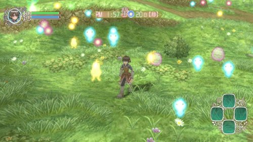 Rune Factory: Frontier - Nintendo Wii Game - Fantasy Farming & Adventure RPG for Family Fun & Relaxing Gameplay