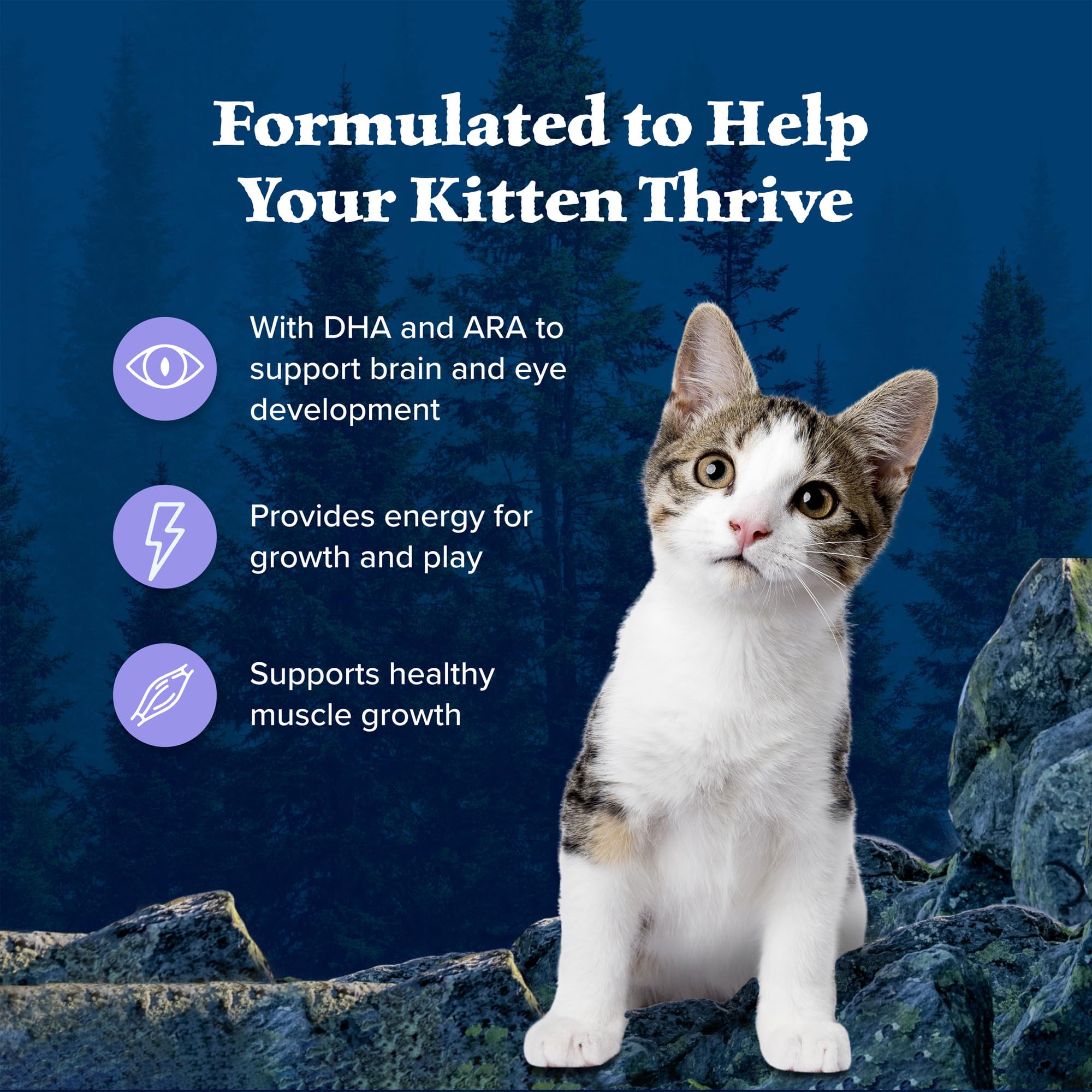 Blue Buffalo Wilderness High-Protein Chicken Kitten Dry Cat Food - Natural Grain-Free Recipe for Growing Kittens - 2 lb Bag - Perfect for Indoor & Outdoor Active Kittens