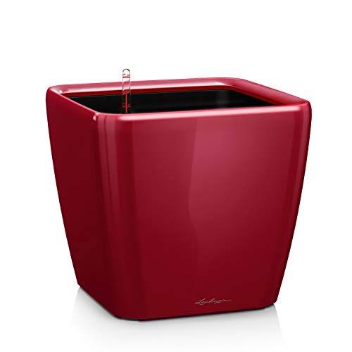 Scarlet Red High Gloss