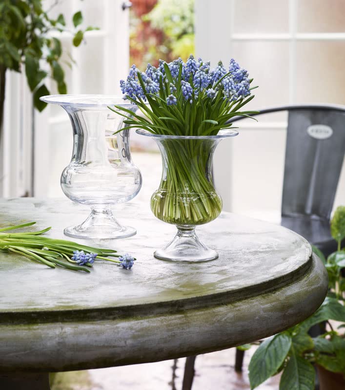 Elegant Transparent Glass Vase 17.4x17.8x20.3cm - Perfect for Home Decor, Wedding Centerpieces & Floral Arrangements