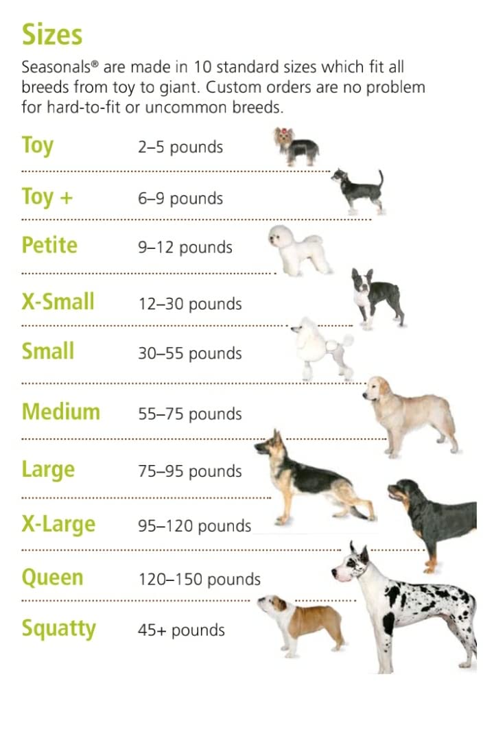 Washable Dog Diaper for Small Dogs - Cheetah Print Pet Diapers for Squatty Body Breeds - Perfect for House Training, Incontinence & Travel Use