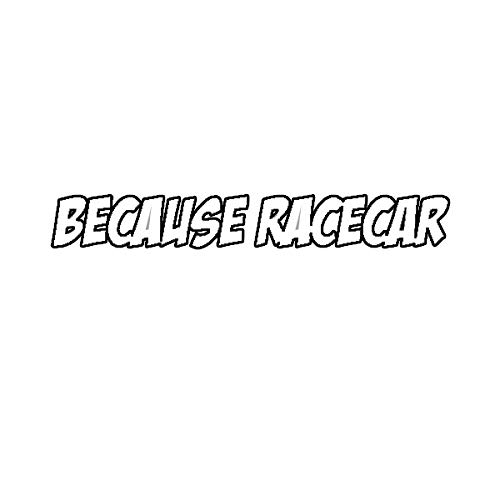 EW Designs Because Racecar Vinyl Sticker - JDM #3 Bumper Decal for Cars & Trucks (5 Inch) - Perfect for Car Enthusiasts, Racing Events & Vehicle Customization