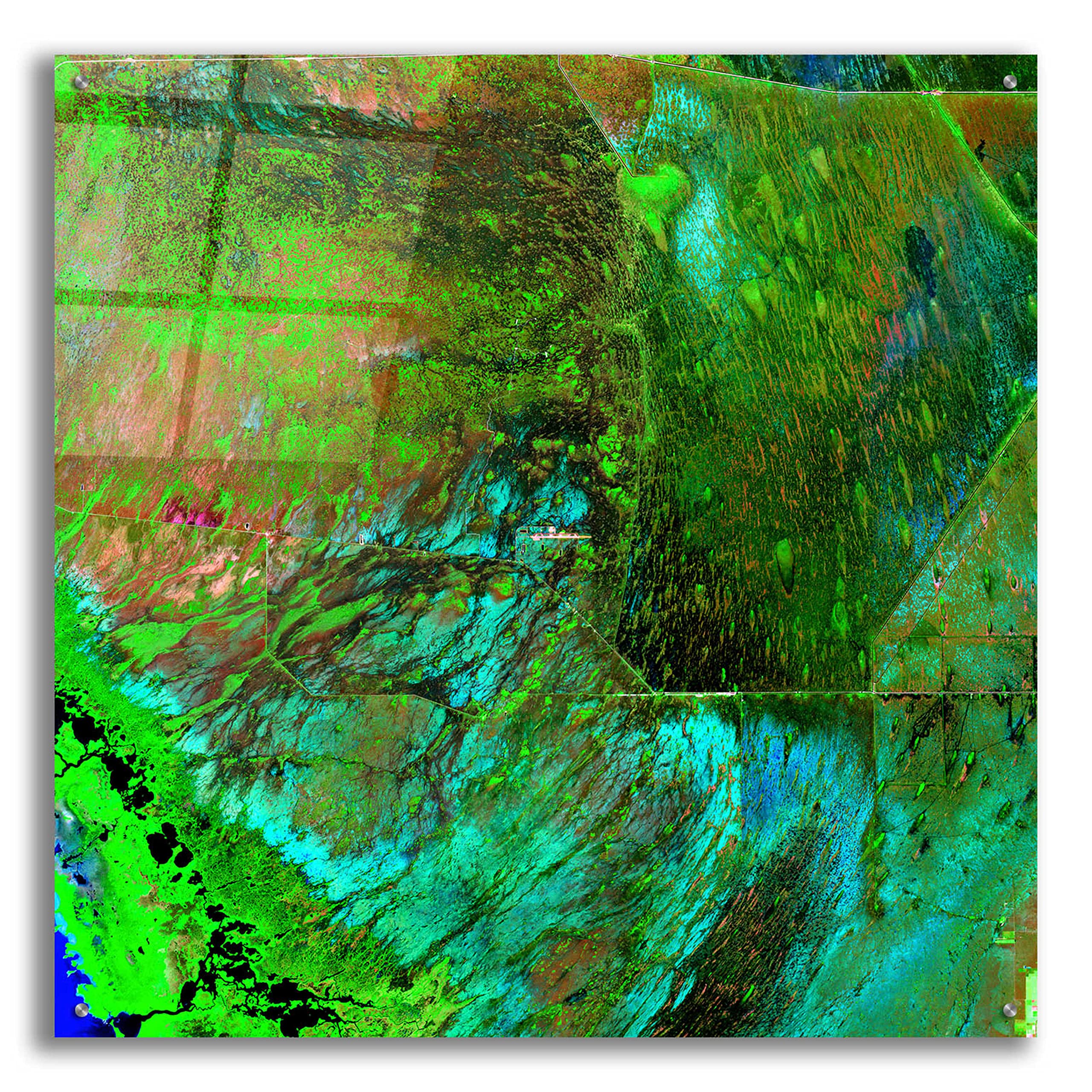 Earth as Art: Everglades Acrylic Glass Wall Art - 36x36 Inches Modern Home Decor for Living Room, Bedroom & Office