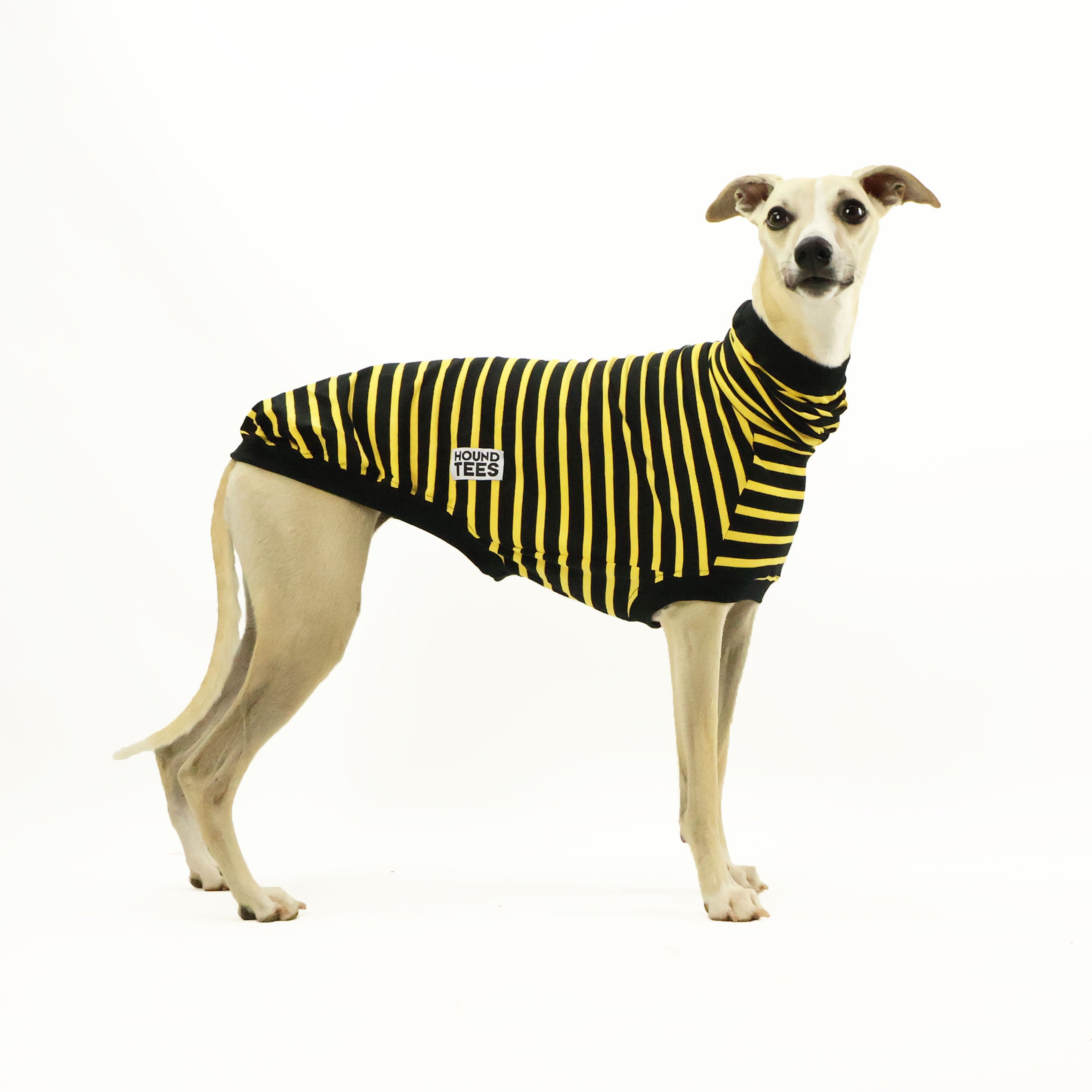 Bumble Whippet Sleeveless Hound Graphic T-Shirt for Men & Women - Trendy Dog Lover Apparel for Casual Wear, Outdoor Activities & Pet Owner Fashion