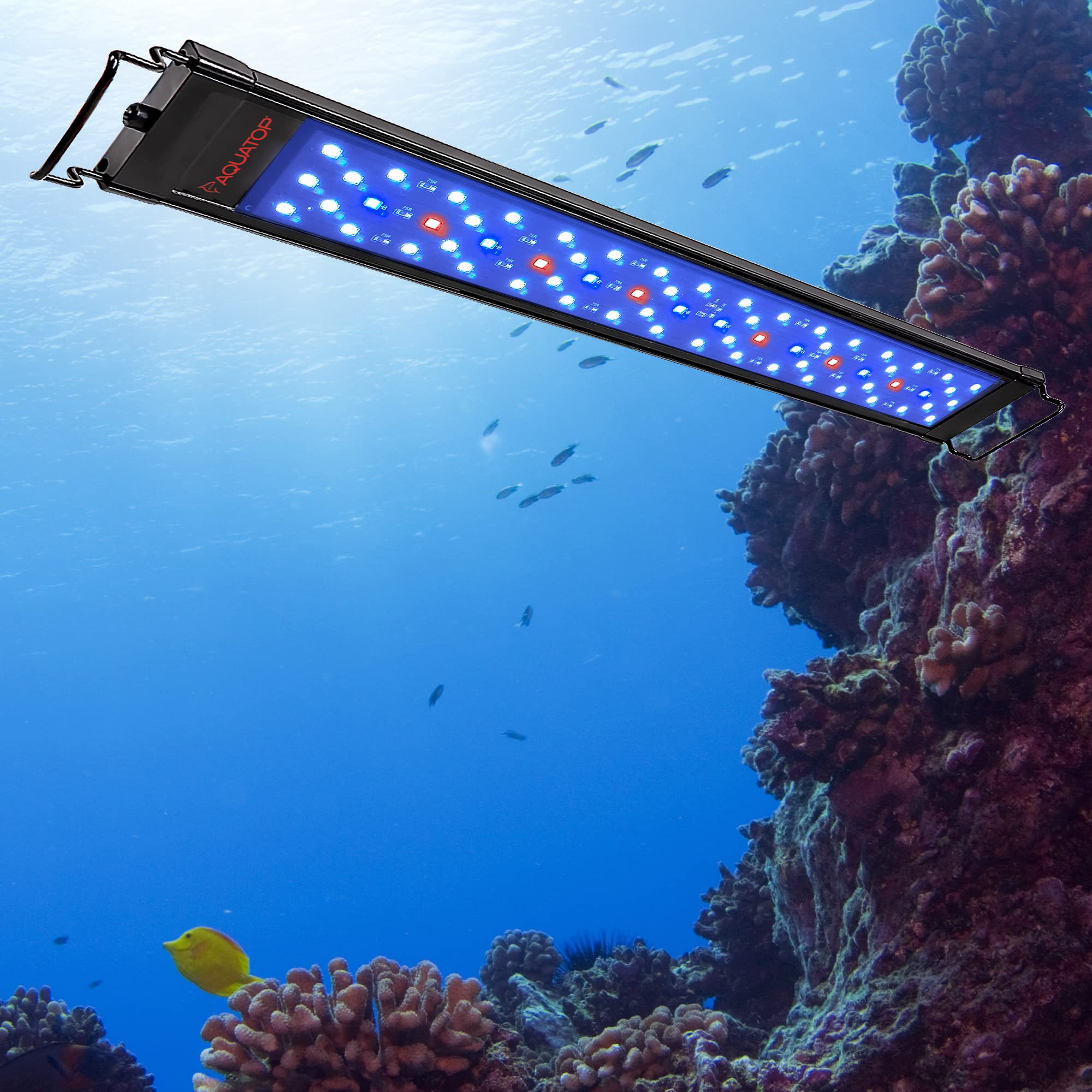 Aquatop SkyAqua Marine LED Saltwater Aquarium Light – 14000K Full Spectrum for Coral Growth, 30-36 Inch Fish Tank Lighting with Remote Control & 3 Position Toggle Switch – UL & CSA Certified – Perfect for Reef Tanks, Marine Aquariums & Saltwater Fish Habitats