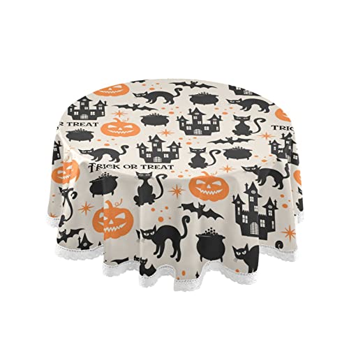 Halloween Cat