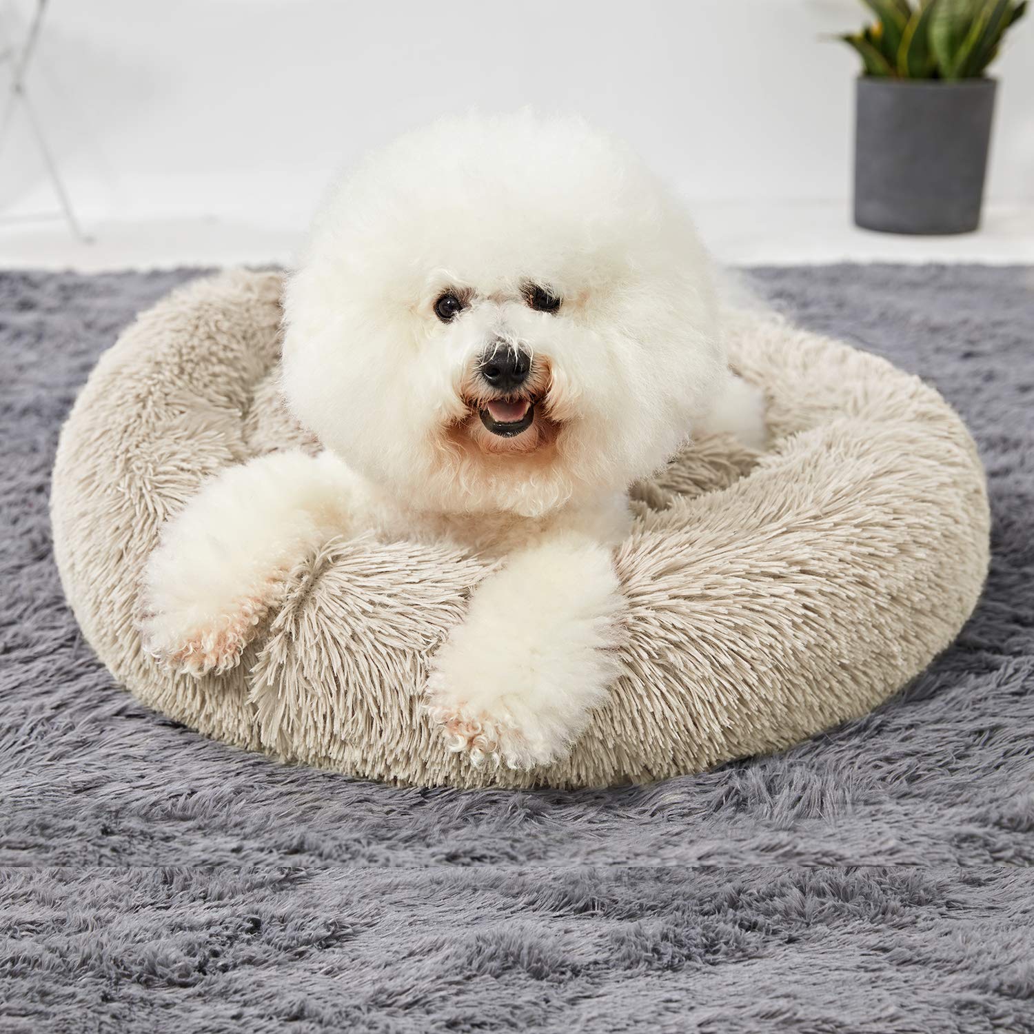 Washable Round Donut Dog Bed for Small Dogs - Soft & Comfy Calming Cuddler Pet Bed - Perfect for Puppies, Travel & Home Use
