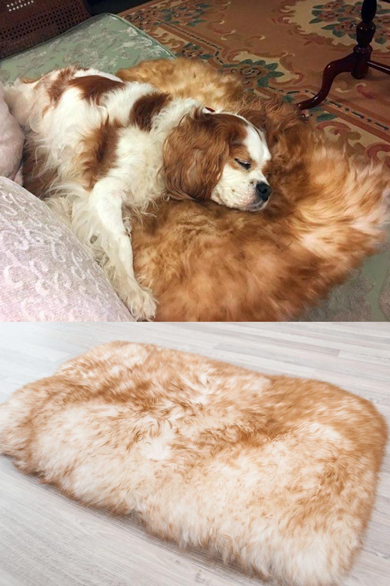 Premium Medium Pet Sheepskin Bed - Soft Lined Rectangle 35x55cm for Dogs & Cats - Cozy Sleeping Mat for Pets in Home, Car, or Office