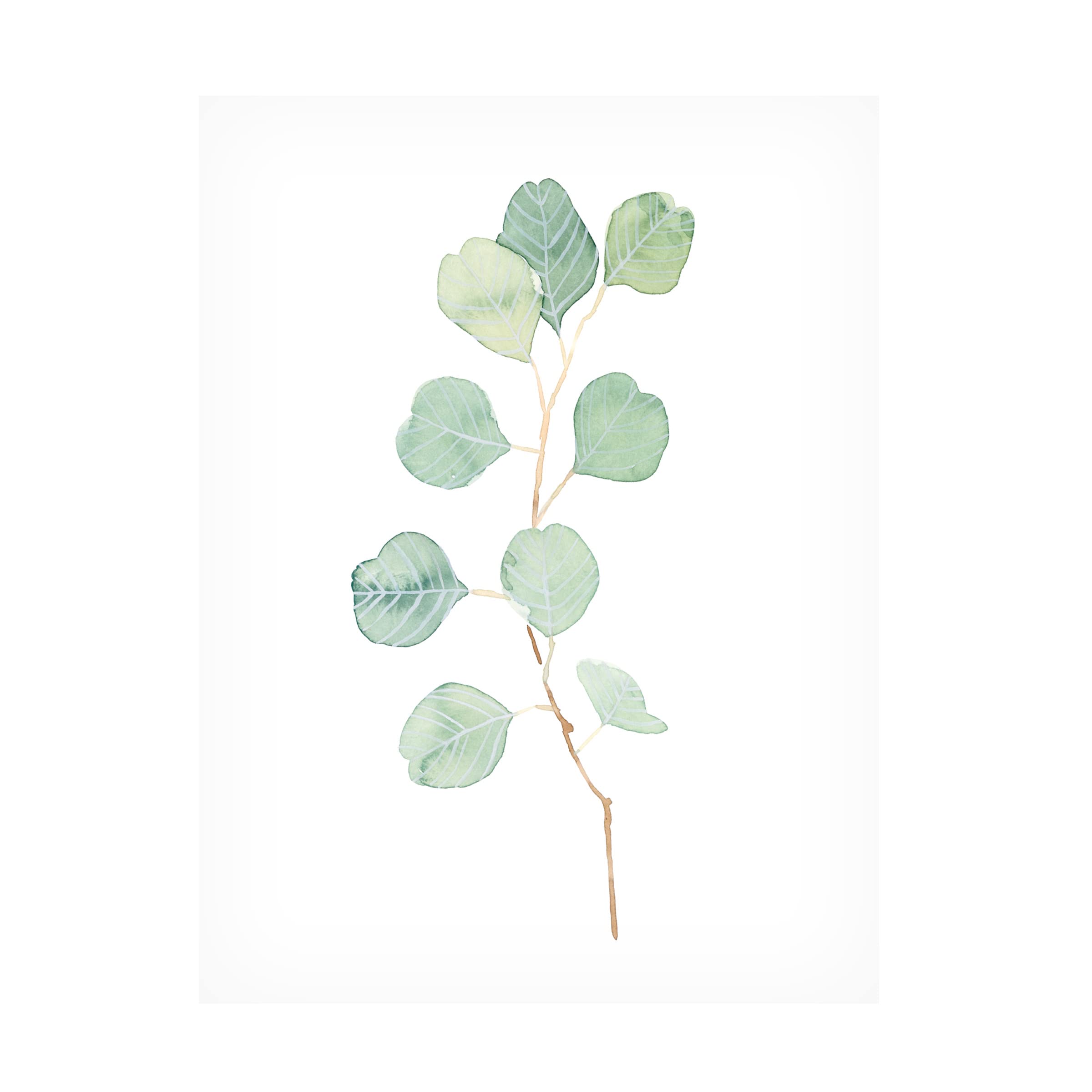 Emma Scarvey 'Soft Eucalyptus Branch IV' Canvas Wall Art Print - Modern Botanical Home Decor for Living Room, Bedroom & Office