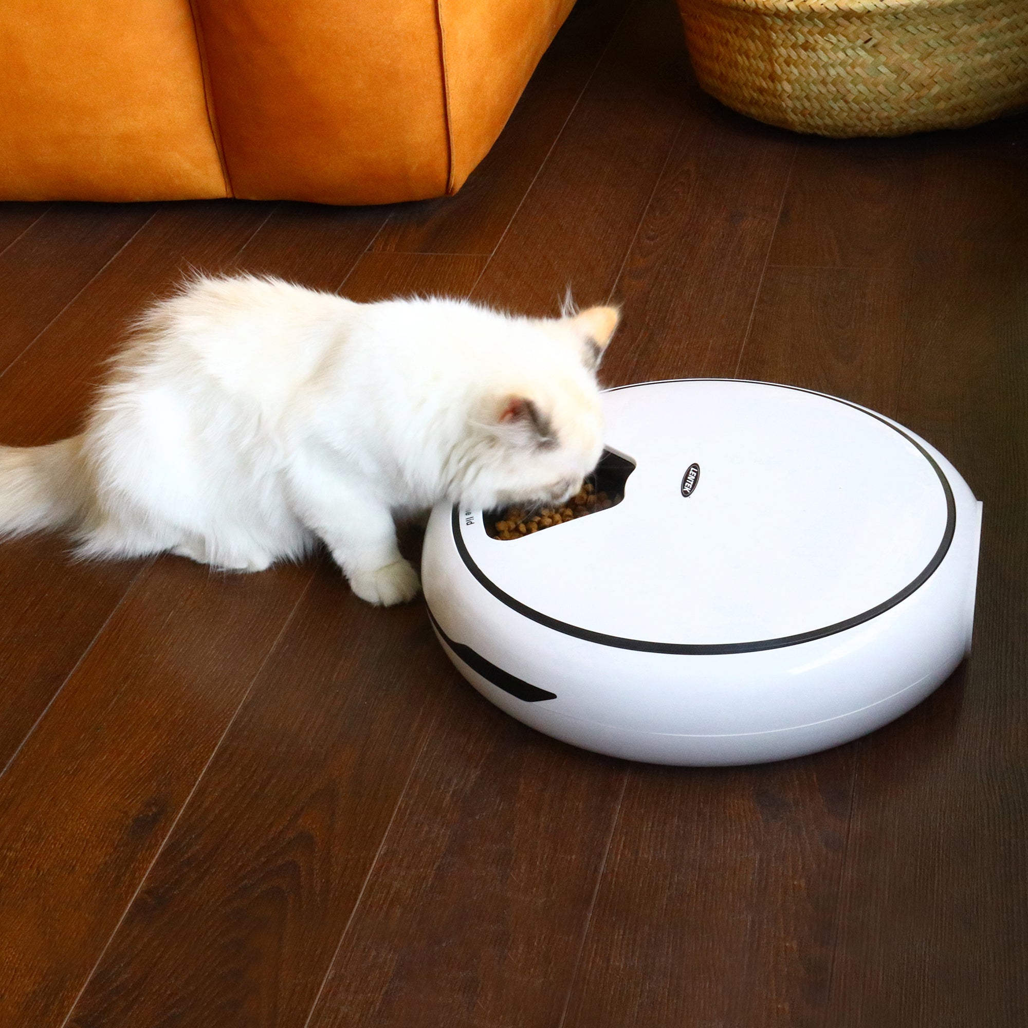Lentek 5-Meal Automatic Pet Feeder with Voice Recording - White Timed Food Dispenser for Cats & Dogs - 5oz Portion Control - 25oz Total Capacity - Perfect for Home, Office & Travel Use