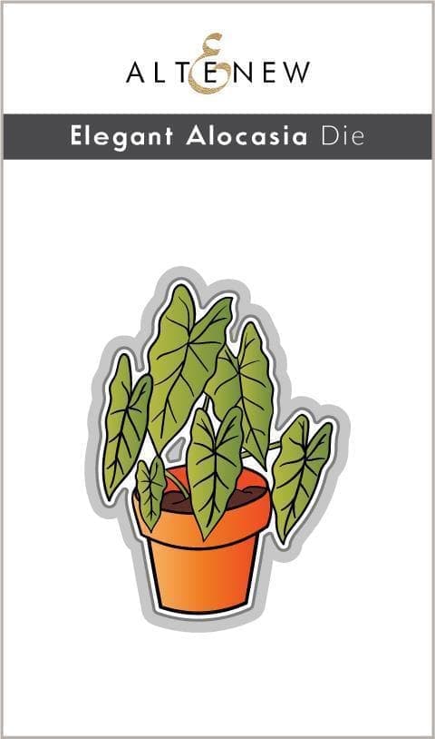 Stunning Alocasia Plant for Home & Office Decor - Perfect for Indoor Greenery and Tropical Plant Lovers