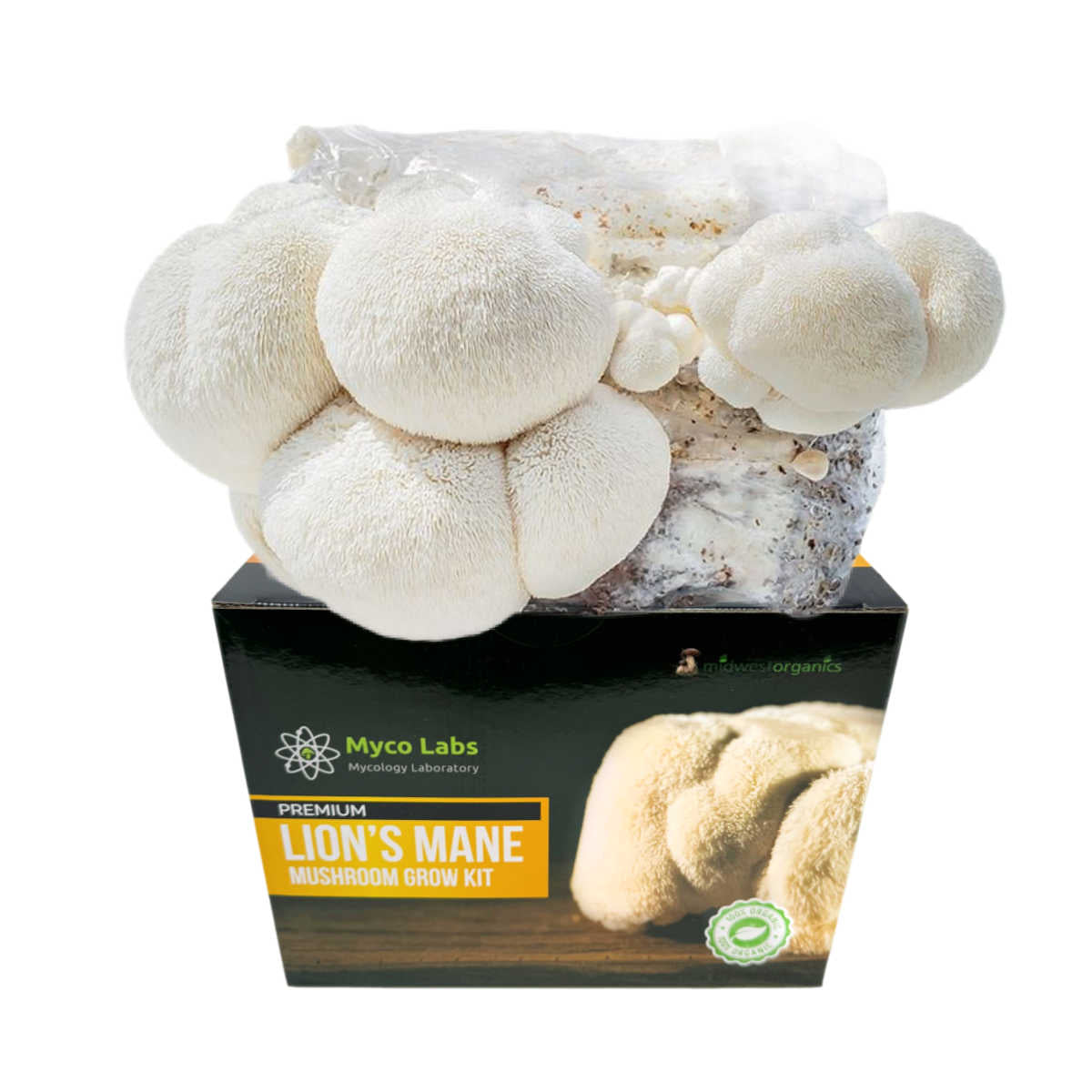 Premium Lion's Mane Mushroom Grow Kit - 5lb Midwest Grow Kits for Home Cultivation | Organic Mushroom Farming Supplies | Perfect for Indoor Gardening, Gourmet Cooking & Health Supplements